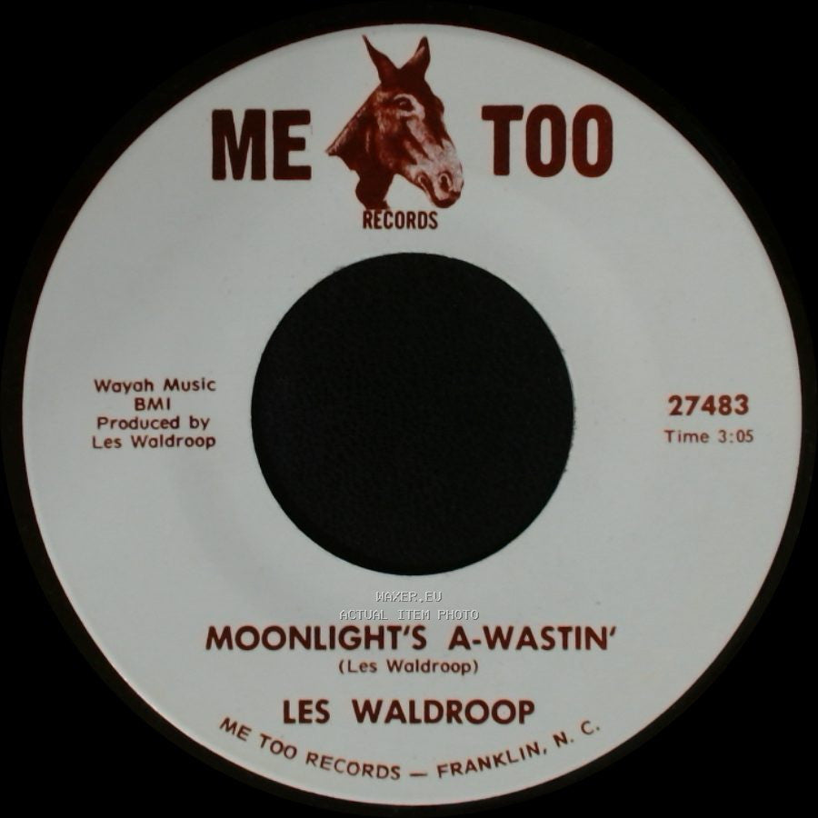 Les Waldroop - Watergate Bugs / Moonlight's A-Wastin' side B