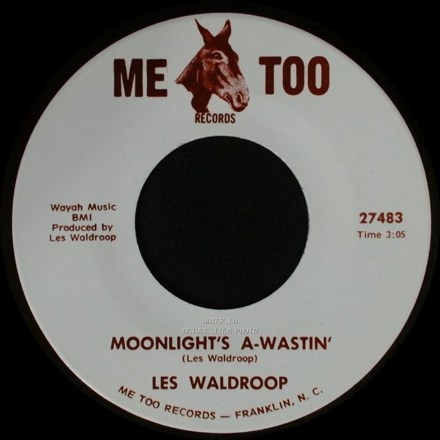 Les Waldroop - Watergate Bugs / Moonlight's A-Wastin' side A
