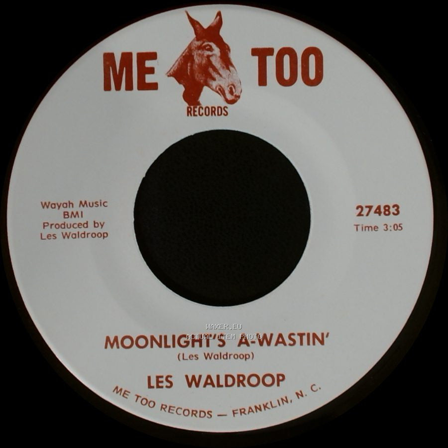 Les Waldroop - Watergate Bugs / Moonlight's A-Wastin' side A