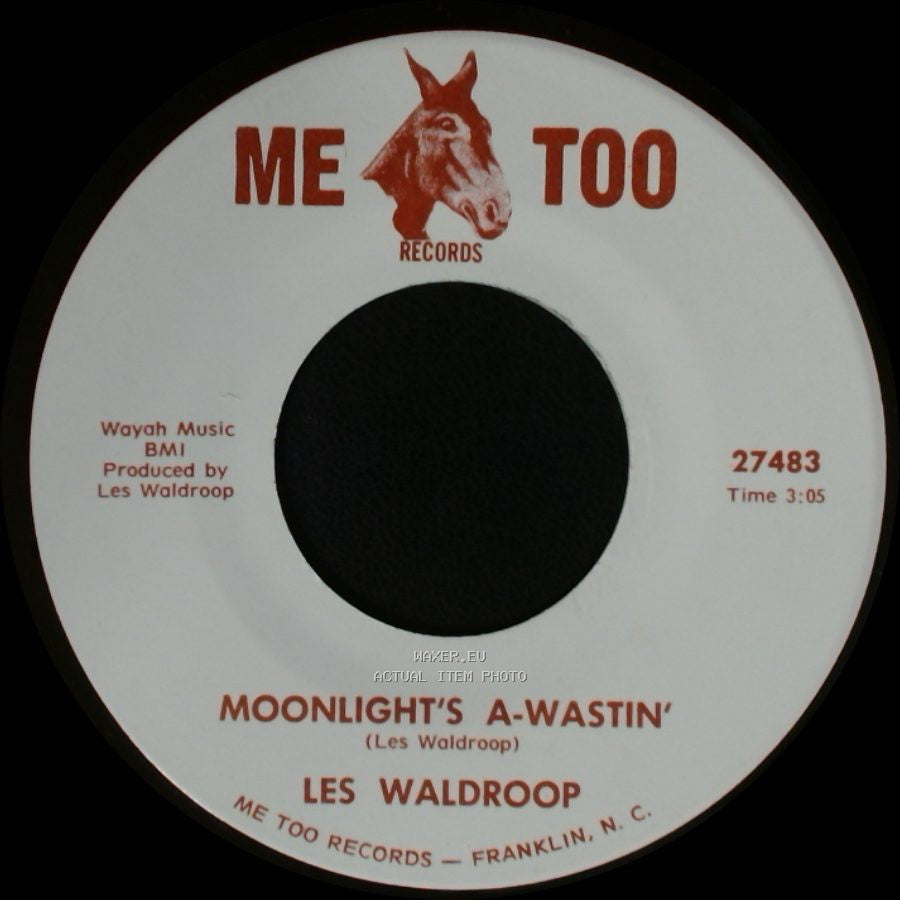 Les Waldroop - Watergate Bugs / Moonlight's A-Wastin' side B