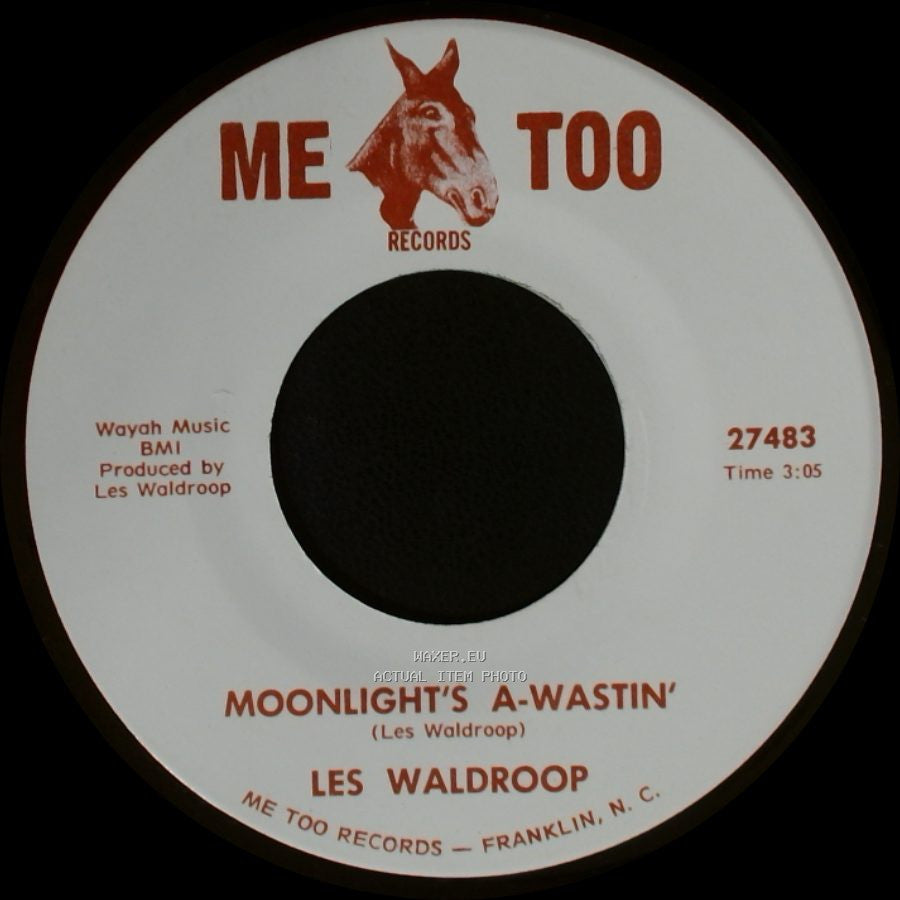 Les Waldroop - Watergate Bugs / Moonlight's A-Wastin' side B
