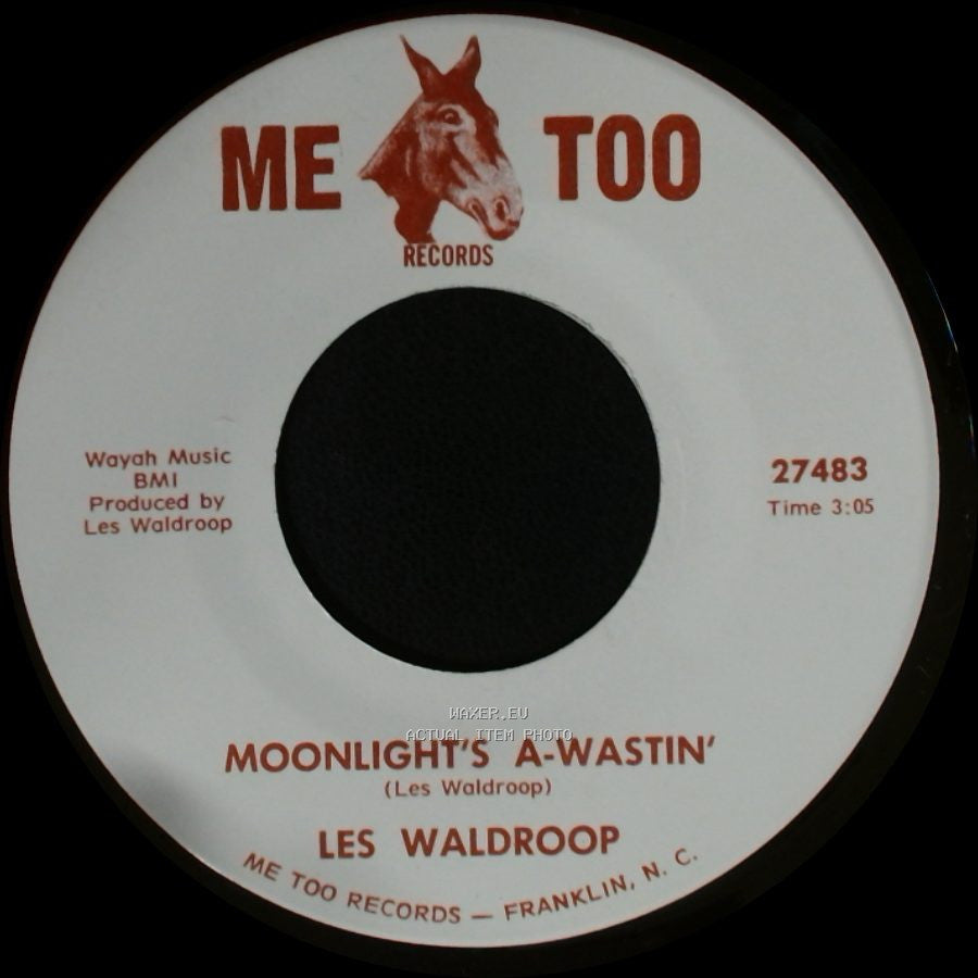 Les Waldroop - Watergate Bugs / Moonlight's A-Wastin' side B