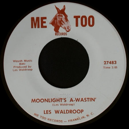 Les Waldroop - Watergate Bugs / Moonlight's A-Wastin' side B