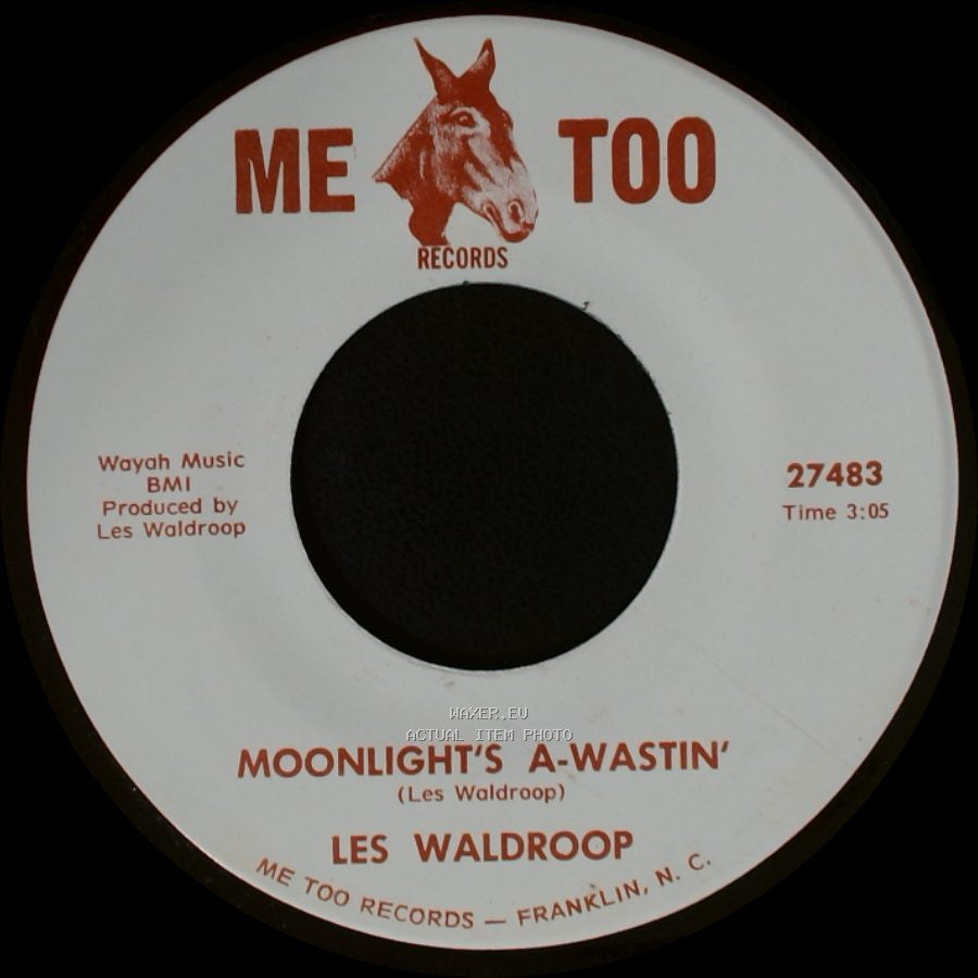 Les Waldroop - Watergate Bugs / Moonlight's A-Wastin' side B