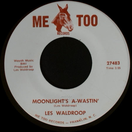 Les Waldroop - Watergate Bugs / Moonlight's A-Wastin' side B