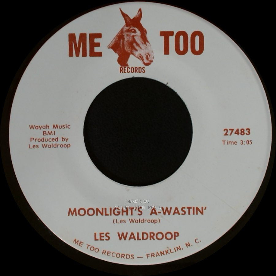 Les Waldroop - Watergate Bugs / Moonlight's A-Wastin' side A