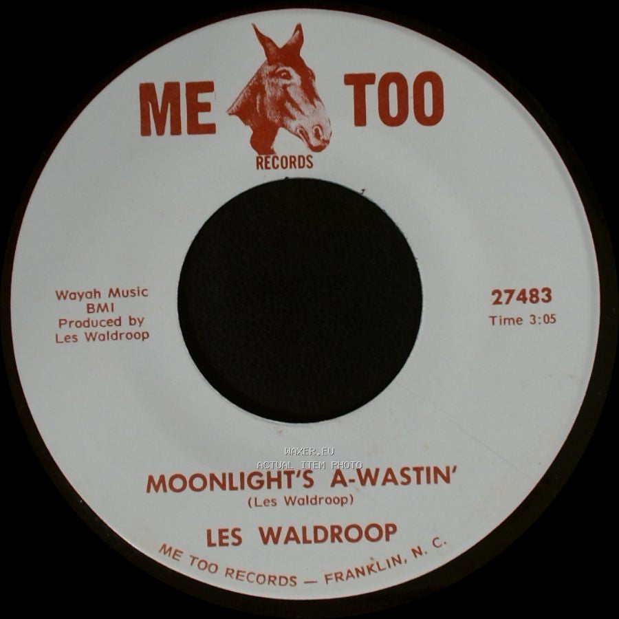 Les Waldroop - Watergate Bugs / Moonlight's A-Wastin' side B