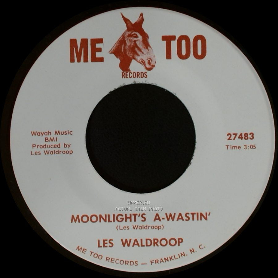 Les Waldroop - Watergate Bugs / Moonlight's A-Wastin' side B