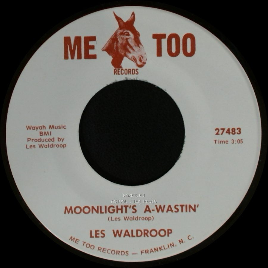Les Waldroop - Watergate Bugs / Moonlight's A-Wastin' side B
