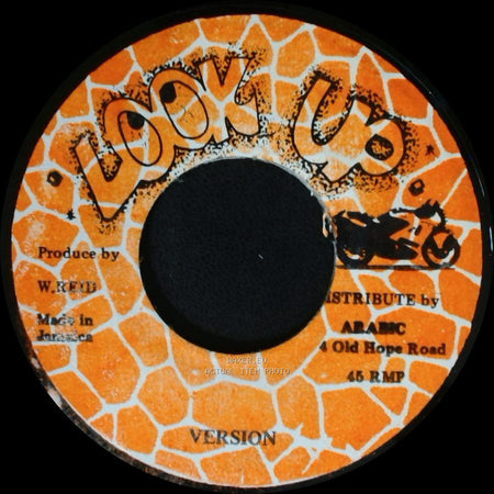 Unknown Artist - Flip Flop / Unknown Title B side B