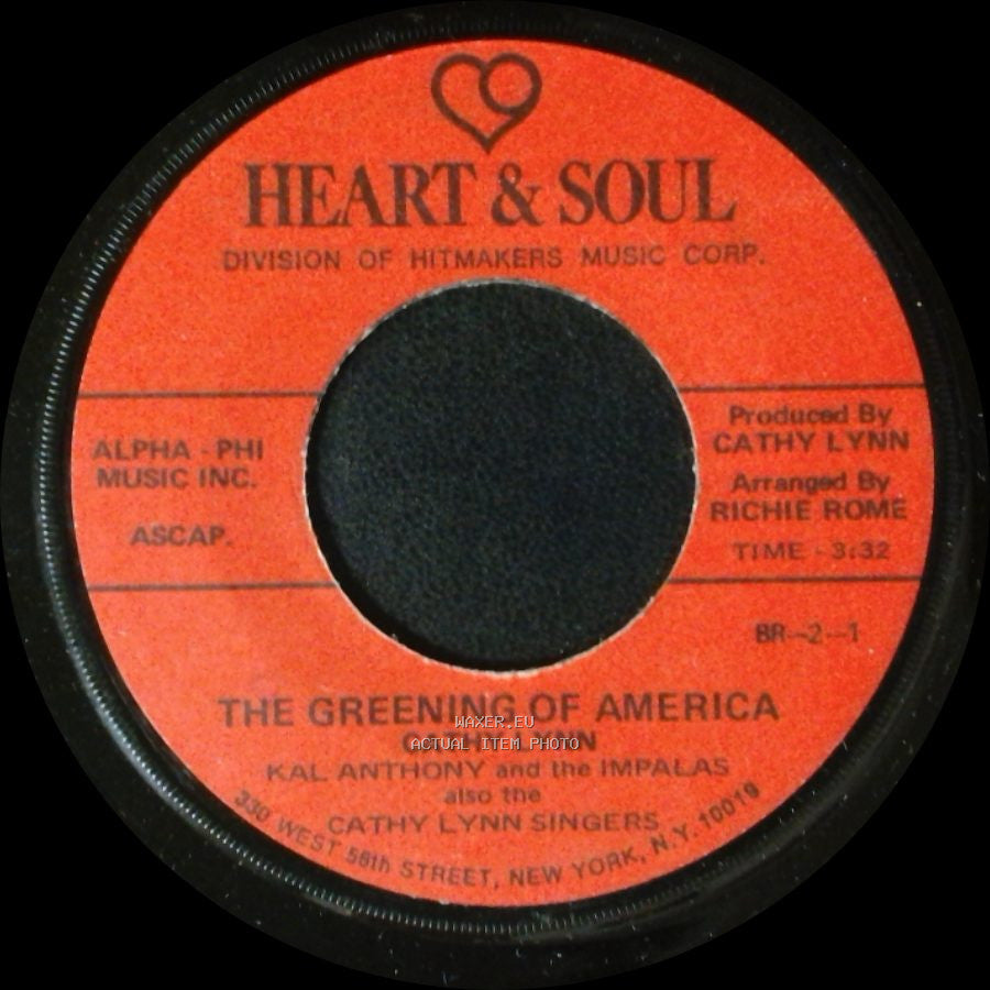 Cathy Lynn - The Greening Of America / Unknown Title B side A