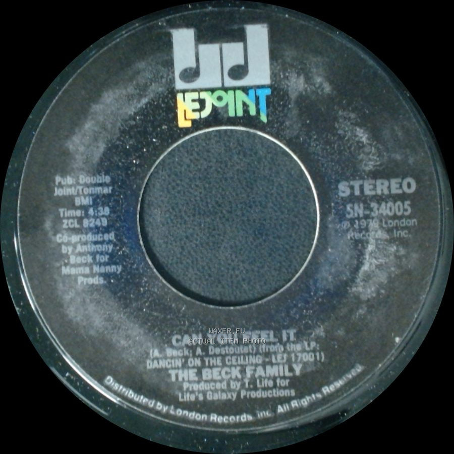 The Beck Family - Falling In Love Again / Can You Feel It side B