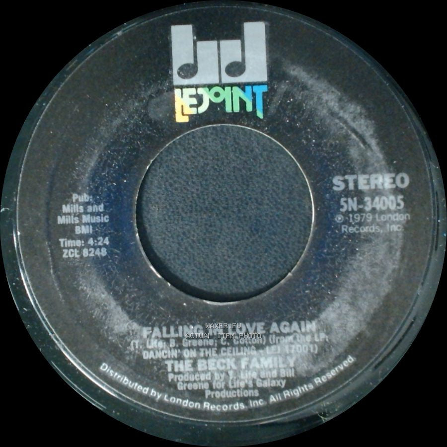 The Beck Family - Falling In Love Again / Can You Feel It side A