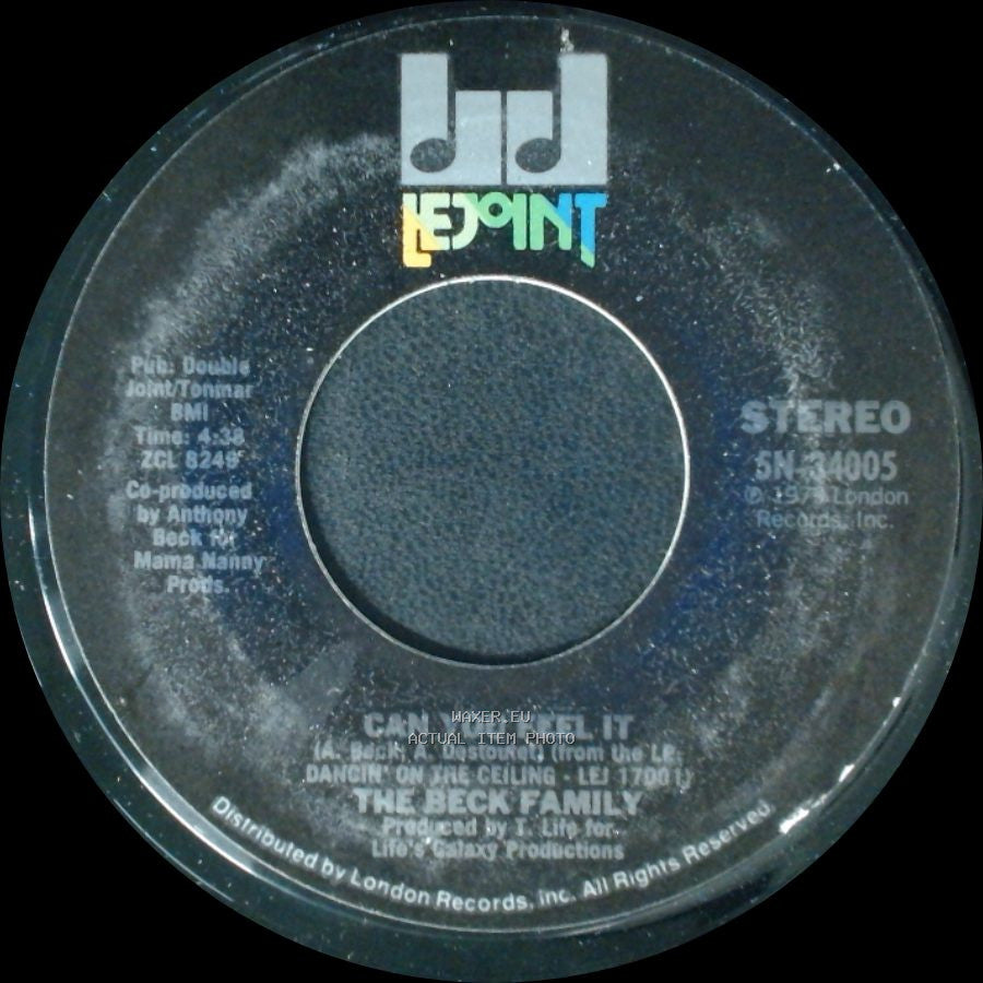 The Beck Family - Falling In Love Again / Can You Feel It side B