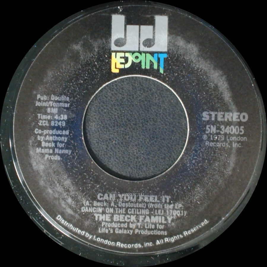 The Beck Family - Falling In Love Again / Can You Feel It side B