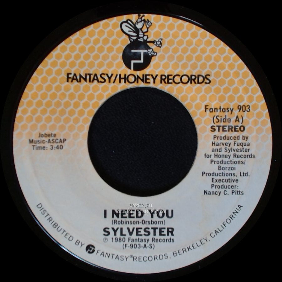 Sylvester - I Need You / Doin' It For The Real Thing side A