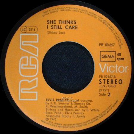 Elvis Presley - Moody Blue / She Thinks I Still Care side B