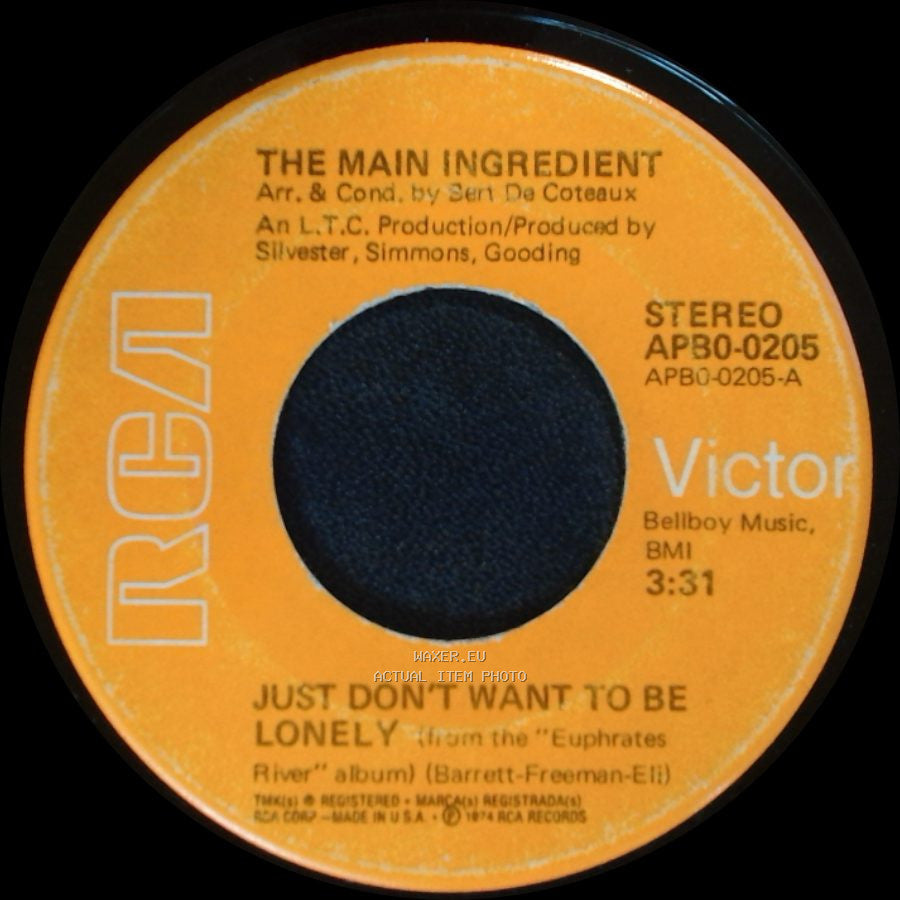 The Main Ingredient - Just Don't Want To Be Lonely / Goodbye My Love side A