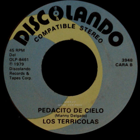 Los Terricolas - No Me Platiques Mas / Pedacito De Cielo side B