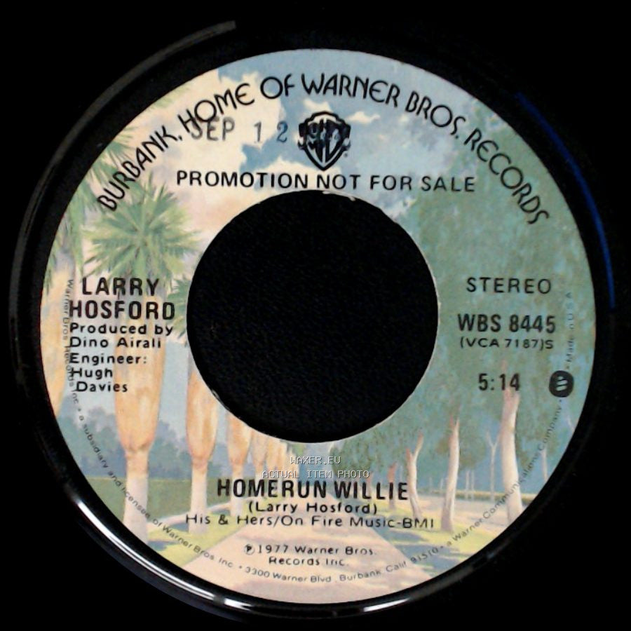 Larry Hosford - Homerun Willie / Homerun Willie side B