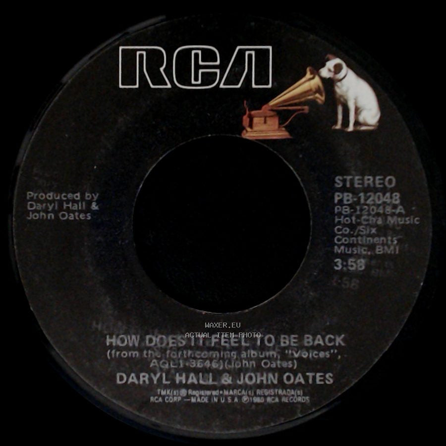 Daryl Hall & John Oates - United State / How Does It Feel To Be Back side B