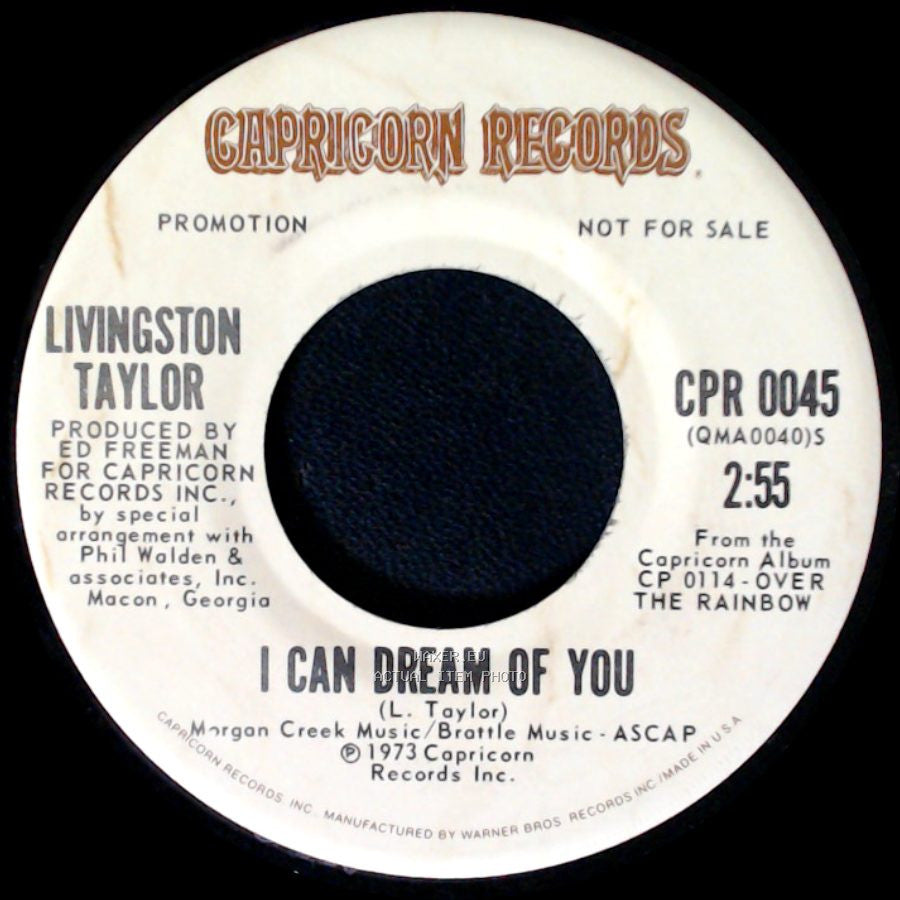 Livingston Taylor - I Can Dream Of You / Loving Be My New Horizon side A