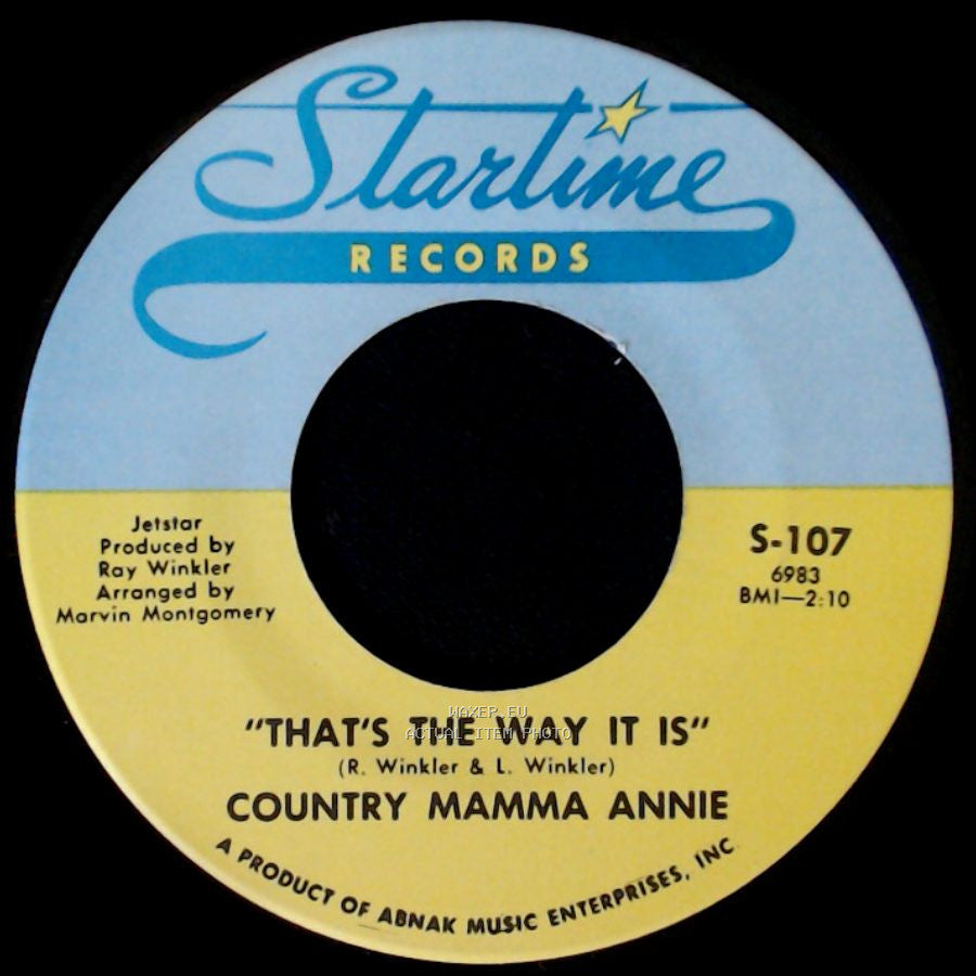 Country Mamma Annie - Who Do You Think You're Foolin / That's The Way It Is side B