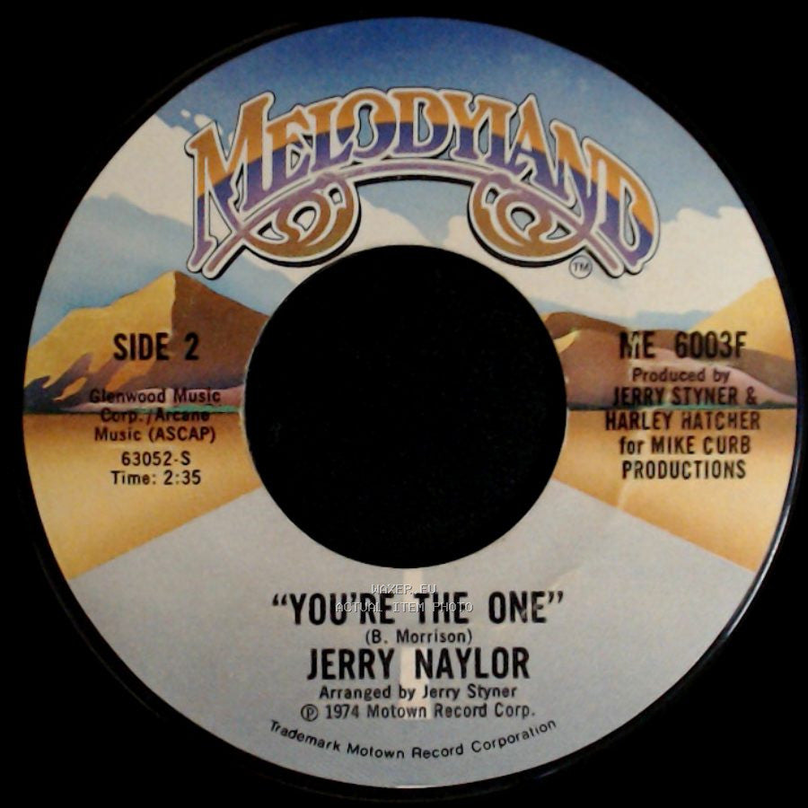 Jerry Naylor - Is This All There Is To A Honky Tonk? / You're The One side B