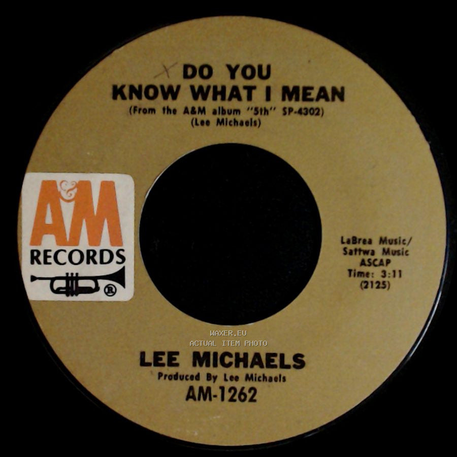 Lee Michaels - Keep The Circle Turning / Do You Know What I Mean side B