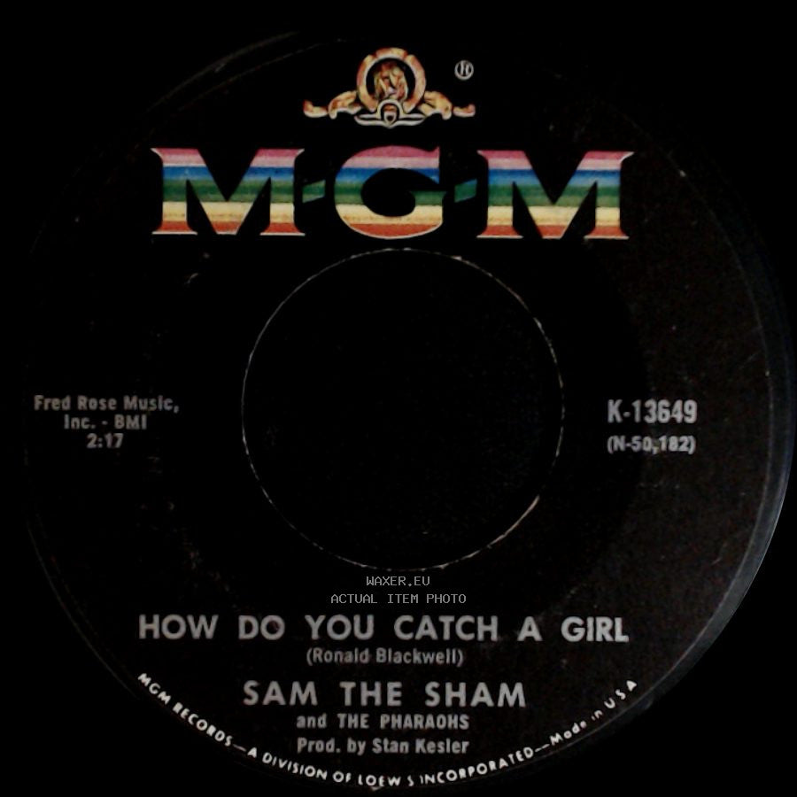 Sam The Sham And The Pharaohs - The Love You Left Behind / How Do You Catch A Girl side B