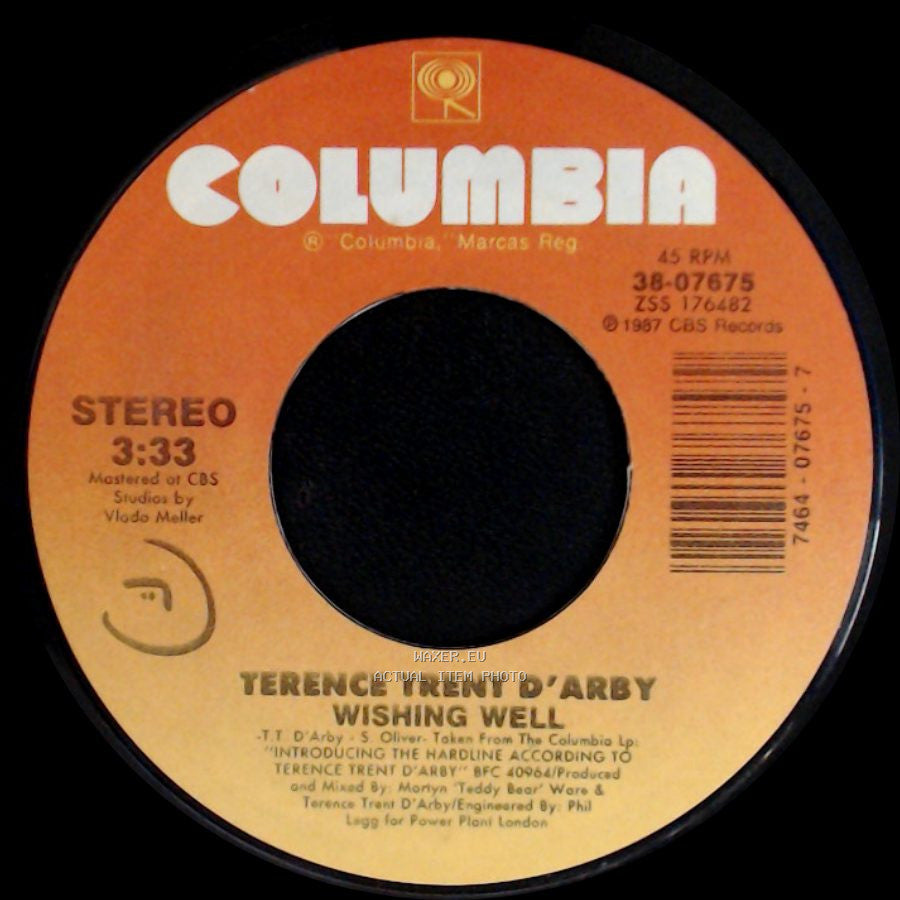 Terence Trent D'arby - Elevators & Hearts / Wishing Well side B
