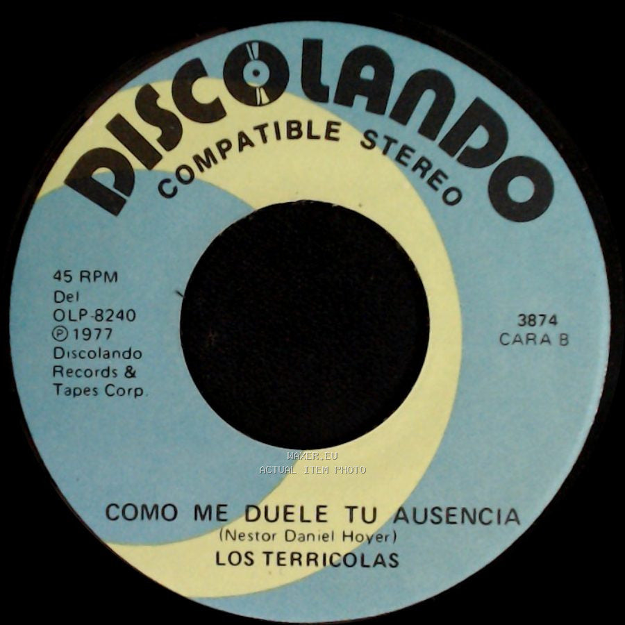 Los Terricolas - Deja De Llorar Chiquilla / Como Me Duele Tu Ausencia side B