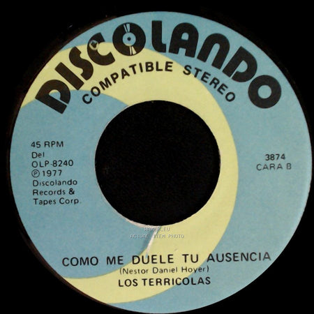 Los Terricolas - Deja De Llorar Chiquilla / Como Me Duele Tu Ausencia side B