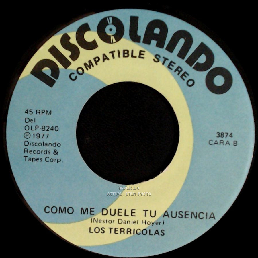 Los Terricolas - Deja De Llorar Chiquilla / Como Me Duele Tu Ausencia side B