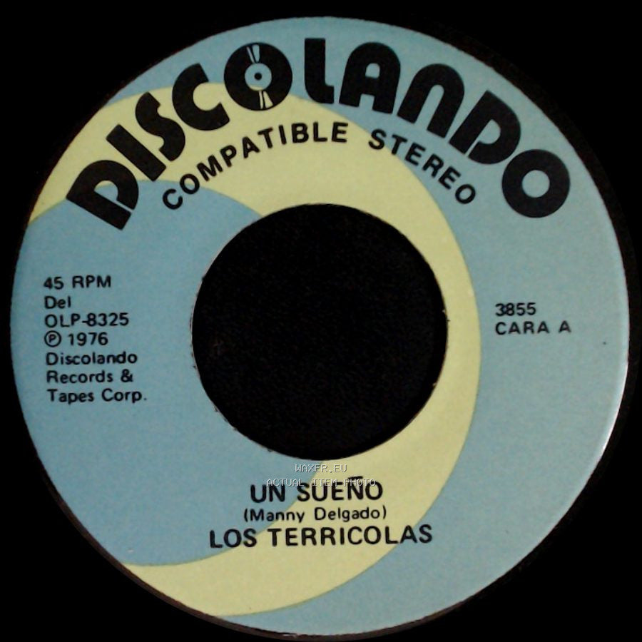 Los Terricolas - Un Sueño / Quisiera Ser side A