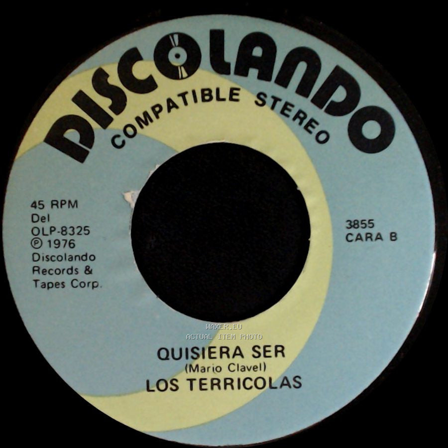 Los Terricolas - Un Sueño / Quisiera Ser side B