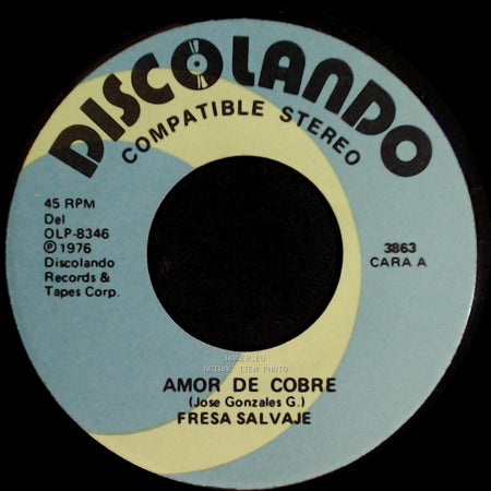 Fresa Salvaje - Amor De Cobre / No Te Guardo Rencor side A