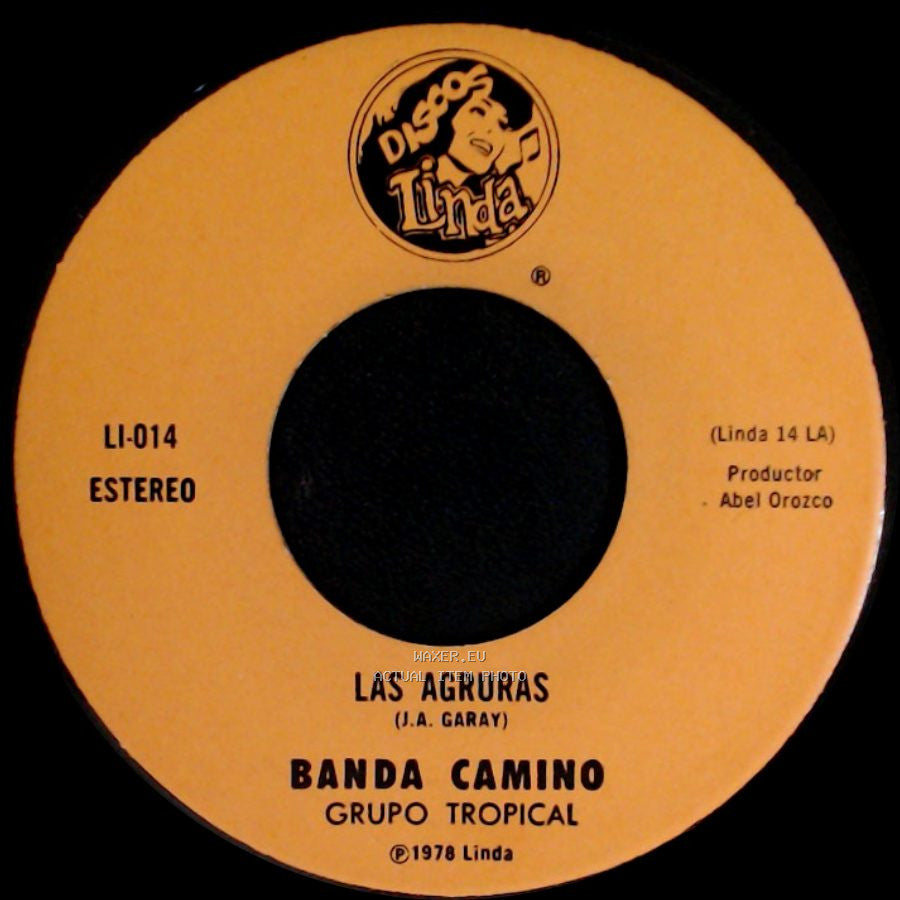 Banda Camino - Las Agruras / El Garantizado side A