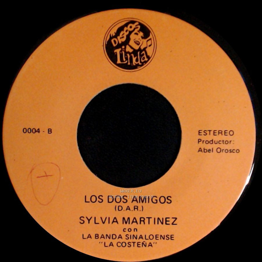 Sylvia Martinez - No Volvere / Los Dos Amigos side B
