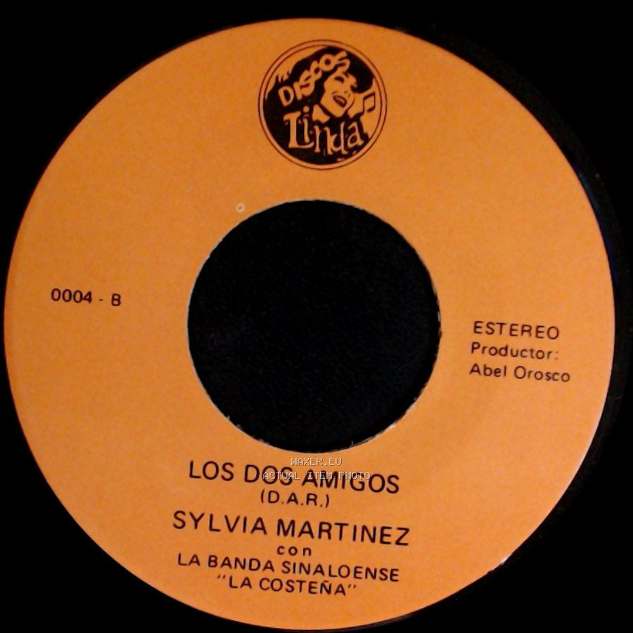 Sylvia Martinez Con La Banda Sinaloense "La Costeña" / Sylvia Martinez - Los Dos Amigos / No Volvere side A