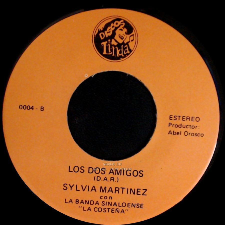 Sylvia Martinez Con La Banda Sinaloense "La Costeña" / Sylvia Martinez - Los Dos Amigos (D.A.R.) / No Volvere side A
