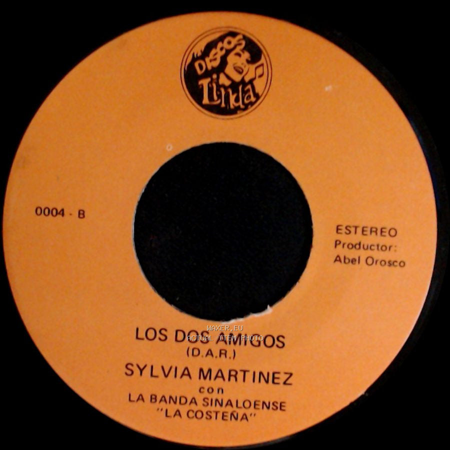 Sylvia Martinez Con La Banda Sinaloense 'la Costeña' - Los Dos Amigos / No Volvere side A