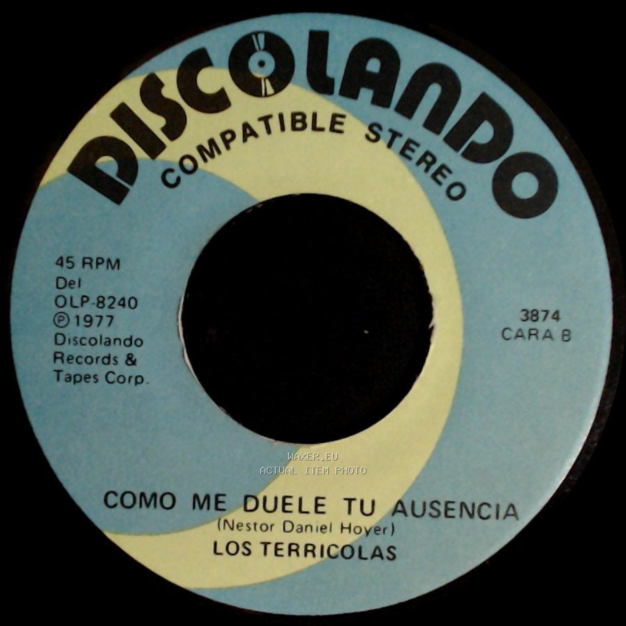 Los Terricolas - Deja De Llorar Chiquilla / Como Me Duele Tu Ausencia side B