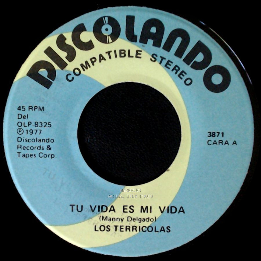 Los Terricolas - Tu Vida Es Mi Vida / Yo Lo Comprendo side A
