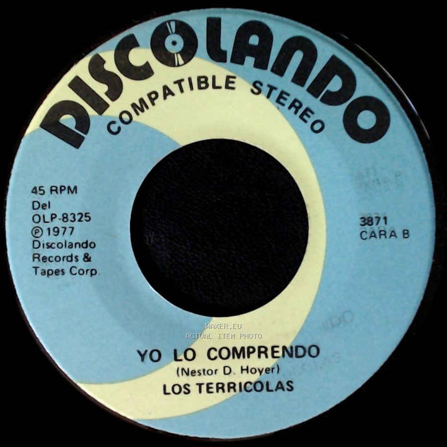 Los Terricolas - Tu Vida Es Mi Vida / Yo Lo Comprendo side B