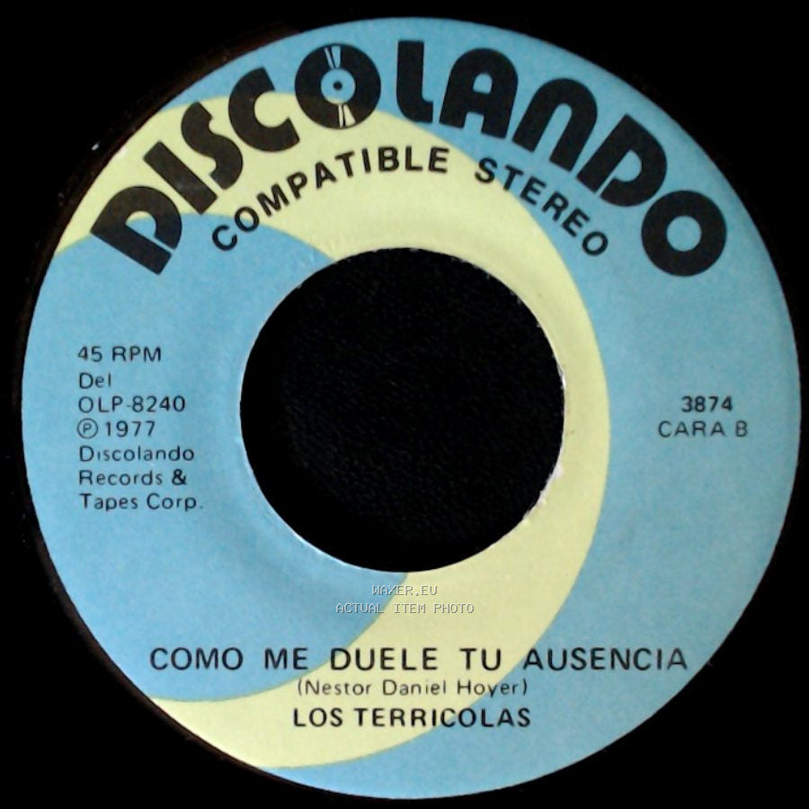 Los Terricolas - Deja De Llorar Chiquilla / Como Me Duele Tu Ausencia side B