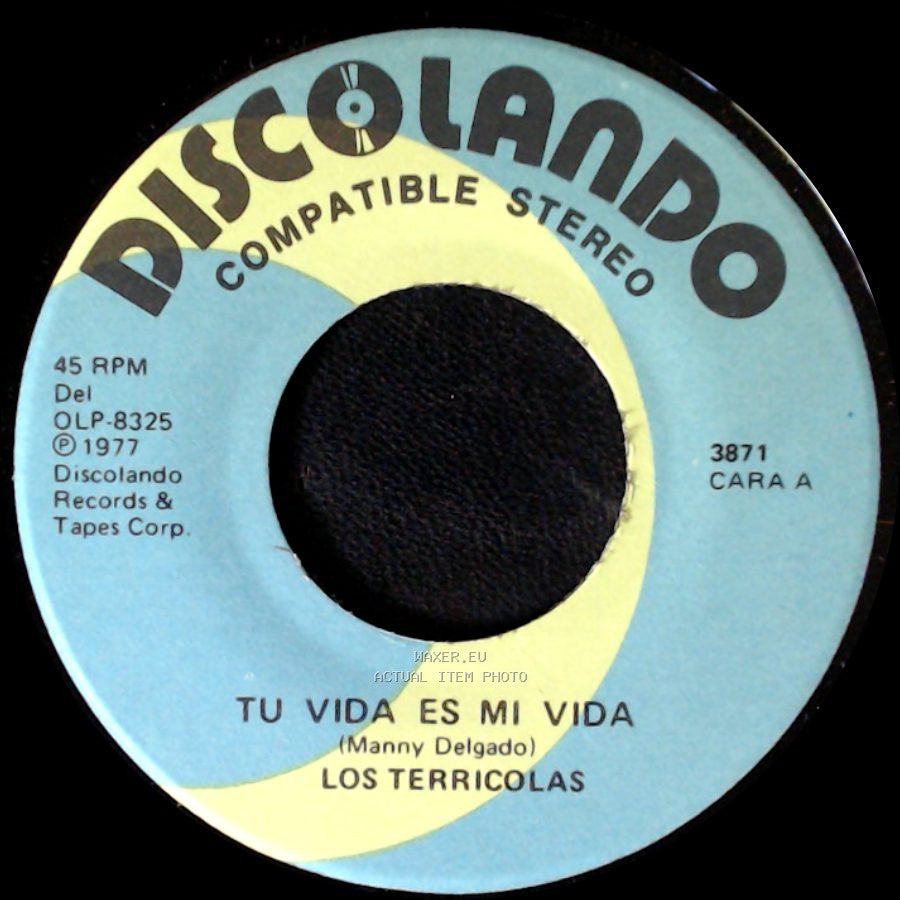 Los Terricolas - Tu Vida Es Mi Vida / Yo Lo Comprendo side A