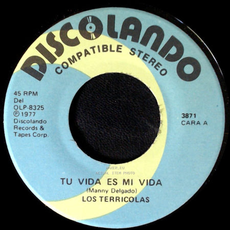 Los Terricolas - Tu Vida Es Mi Vida / Yo Lo Comprendo side A
