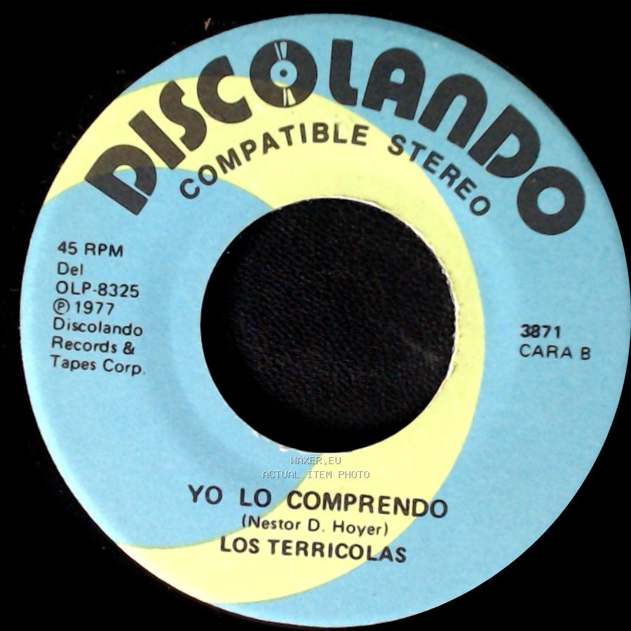 Los Terricolas - Tu Vida Es Mi Vida / Yo Lo Comprendo side B