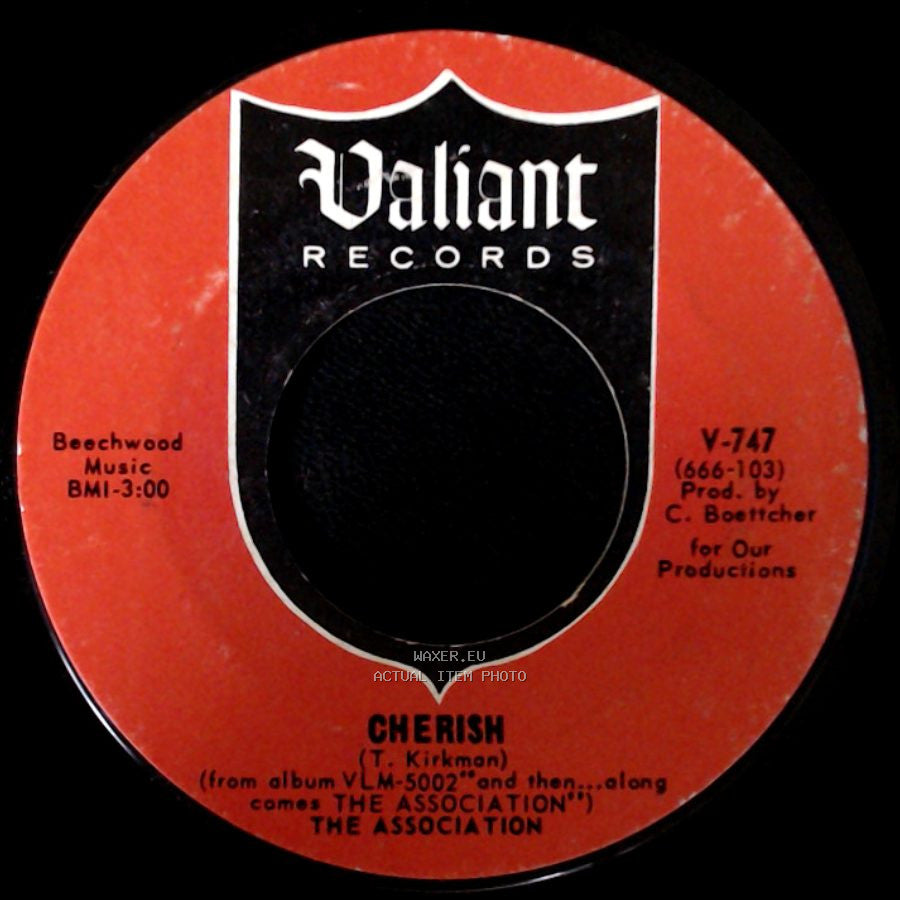 The Association - Don't Blame It On Me / Cherish side B